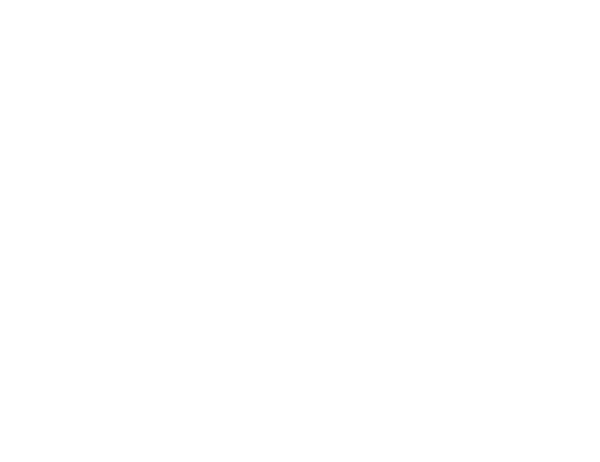TRIAL LESSON