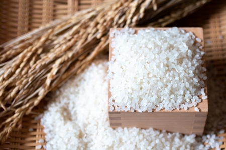 炭水化物が不足すると身体に起こる症状とは｜ボクシングフィットネスジム NOA イメージ