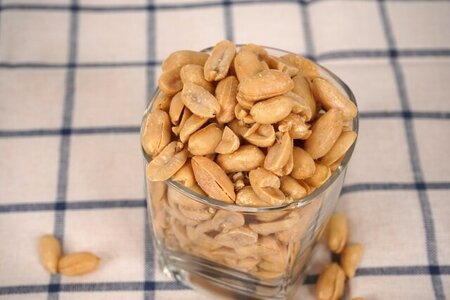 ダイエットの味方!? 「良質な脂質」を摂ろう！｜ボクシングフィットネスジムNOA イメージ