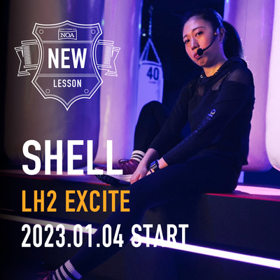 2212_shell.jpg